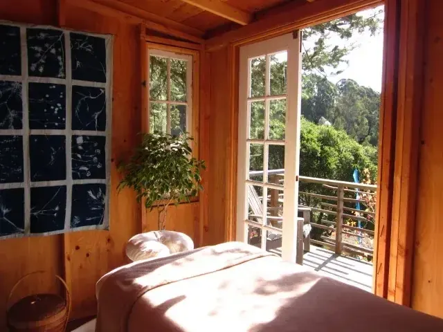 Cedar-lined interior with French doors to a treetop deck